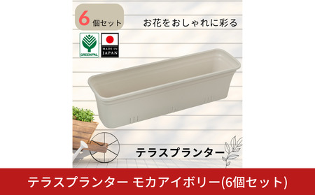 テラスプランター モカアイボリー 6個セット ガーデニング用品 園芸用品 庭いじり【010S854】