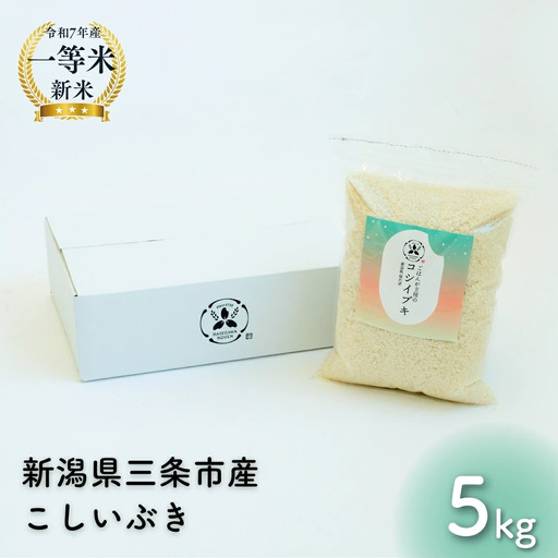 新潟県産こしいぶき 5kg 1等米 2025年産 三条市保内産 精米 白米 令和7年産 米 【016S088】