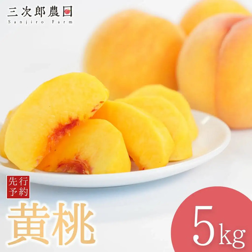 先行予約 黄桃 約5kg 令和8年度 贈答用 新潟県三条市産 桃 黄桃 三次郎農園