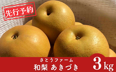 先行予約 和梨 あきづき 約3kg 令和8年度 新潟県産 梨 さとうファーム