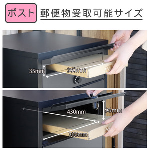 ポスト一体型 二段宅配ボックス レシーボ 鍵付き 戸建住宅用 防雨 防水 屋外 要組立 日本製 TRP2-4583(BK/AGY) グリーンライフ