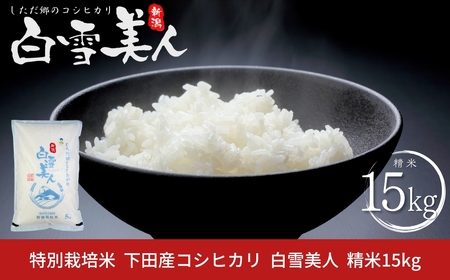令和7年産米 特別栽培米 下田産コシヒカリ 「白雪美人」 精米 15kg