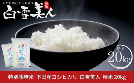 令和7年産米 特別栽培米 下田産コシヒカリ 「白雪美人」  精米 20kg（5kg×4） 新潟県 こしひかり 三条産 新潟県産【063S012】