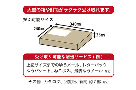  鍵付大型ステンレス郵便ポスト（郵便受け） [グリーンライフ] 【026P002】