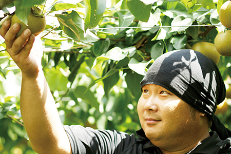 和梨 新興 約5kg 贈答用 令和7年度 新潟県 三条市産 [三条果樹専門家集団]【016P031】