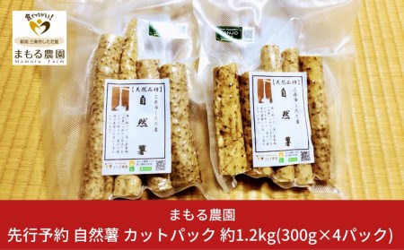 先行予約 自然薯 カットパック 約1.2kg(300g×4パック) とろろご飯に