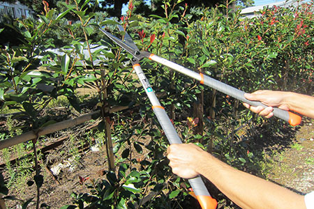 アルミ刈込鋏 燕三条製 園芸バサミ 枝切り 刈り込みハサミ 剪定鋏
