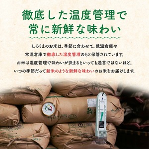 新米 無洗米 コシヒカリ 5kg  コシヒカリ 新潟県産 コシヒカリ 令和6年産コシヒカリ 無洗米 新潟県産無洗米コシヒカリ無洗米【010S098】