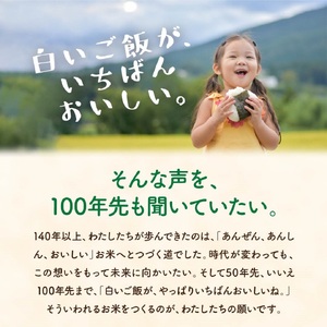 [9月中発送可] 新米 先行予約 新潟県産 こしいぶき 10kg 令和6年産 米 9月発送 [株式会社白熊]【011S037】