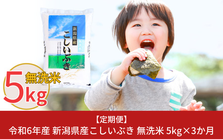 [定期便5kg×3ヶ月] 令和6年産 無洗米 新潟県産こしいぶき 計15kg 3か月（3ヵ月）連続でお届け [株式会社白熊]【017S007】