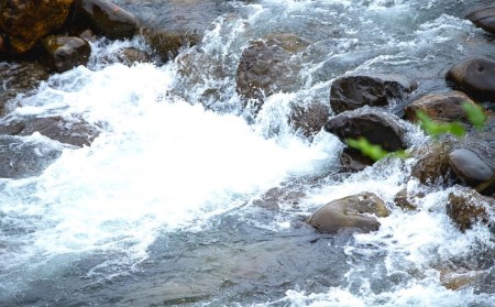有機JAS認証 八木ヶ鼻舞い オーガニックなコシヒカリ 精米 3kg 令和7年産 新潟県三条市産 