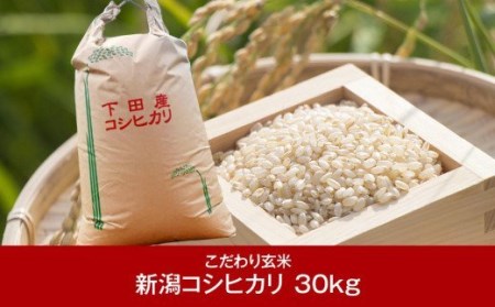 ふるさと納税 [新潟県産コシヒカリ] 新潟こしひかり玄米30kg 玄米 米