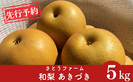 先行予約 和梨 あきづき 約5kg 令和8年度 新潟県産 梨 さとうファーム