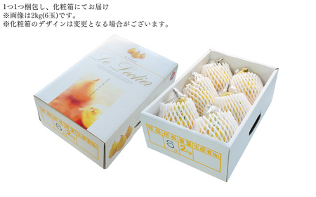 ル レクチエ 3kg（6～11個） 令和7年度 洋梨 新潟県産 ル・レクチェ 洋梨の貴婦人 [JAえちご中越]【015S021】