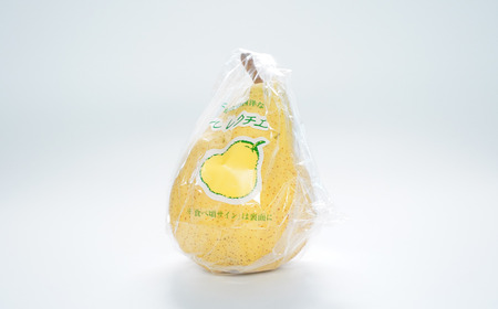 ル レクチエ 3kg（6～11個） 令和7年度 洋梨 新潟県産 ル・レクチェ 洋梨の貴婦人 [JAえちご中越]【015S021】