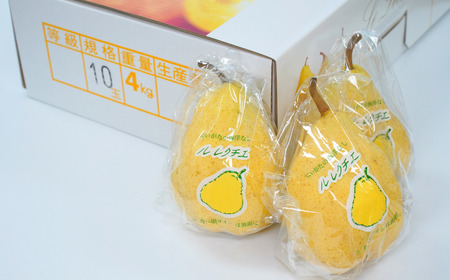 ル レクチエ 4kg (7~12個) 令和7年度 洋梨 新潟県産 ル・レクチェ 洋梨の貴婦人 【019S025】