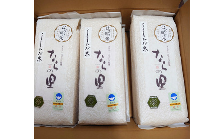 新米 新潟県産コシヒカリ 6kg (1kg×6) 特別栽培米 令和7年産 昔ながらのはざ掛け(はざかけ)真空パック  [農事組合法人ならやま]