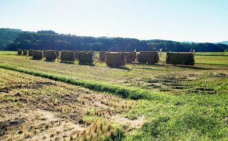 新米 新潟県産コシヒカリ 6kg (1kg×6) 特別栽培米 令和7年産 昔ながらのはざ掛け(はざかけ)真空パック  [農事組合法人ならやま]