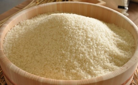 新潟県産 新之助 10kg (5kg×2袋) 令和7年産 しんのすけ [JAえちご中越] 【020S024】