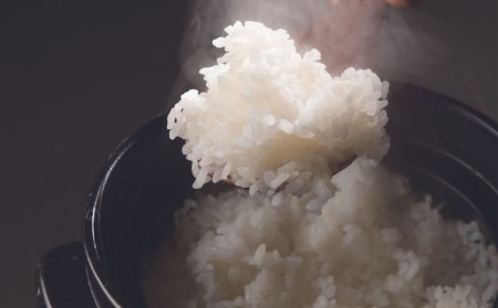 新潟県産 新之助 10kg (5kg×2袋) 令和7年産 しんのすけ [JAえちご中越] 【020S024】