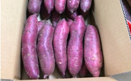 先行予約 さつまいも 紅はるか 5kg 収穫後熟成 [2025年2月上旬～順次発送予定] 三条市下田産ブランド「越紅(こしのくれない)」  [まもる農園] 【010S205】