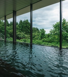 スノーピーク snowpeak FIELD SUITE SPA「手ぶらで温泉＆ディナーコース」ドリンク付き 1名様分 スノーピーク(Snow Peak) 体験型返礼品 スノーピーク お食事 スノーピーク 体験 スノーピーク 温泉 スノーピーク スパ スノーピーク スノーピークRestaurant雪峰【134S002】