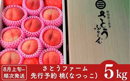 先行予約 なつっこ桃 5kg [8月上旬から発送予定] 新潟県 なつっこ 三条市産 なつっこ 桃 [さとうファーム]