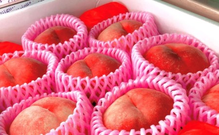 先行予約 桃 (なつっこ) 5kg 令和8年度 新潟県産 桃 さとうファーム