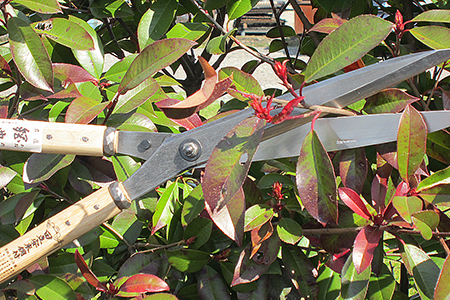 [五十嵐刃物工業] 樹木の剪定に便利なハサミ 安来鋼付刈込仕上鋏 燕三条製【060P015】