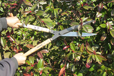 [五十嵐刃物工業] 樹木の剪定に便利なハサミ 安来鋼付刈込仕上鋏 燕三条製【060P015】