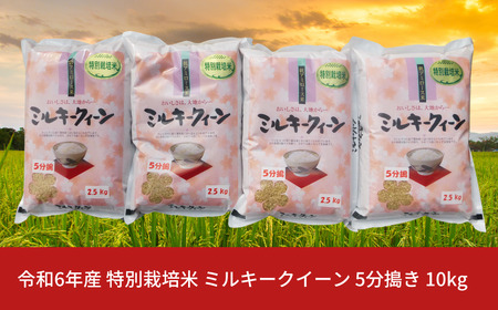 令和６年福島県産 痒い ミルキークイーン 白米25kg