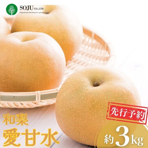 先行予約 和梨 愛甘水 約3kg 令和8年度 新潟県 三条市産 梨 [三条果樹専門家集団]【016P025】