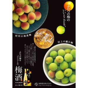 ふたつの梅をブレンドした「福顔の梅酒」500ml×2本セット 梅酒 リキュール [福顔酒造]【010S241】