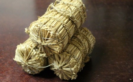 新之助 5kg 新潟県三条市産 精米 令和7年産新之助 外山敏雄商店