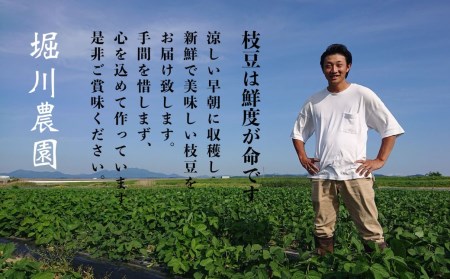 【先行予約】[枝豆 定期便 1kg×3回] 新潟県産 枝豆（陽恵） 朝採り枝豆 1kgを3回お届け [2025年発送分 ] 令和7年産 枝豆 [堀川農園] 【030S034】