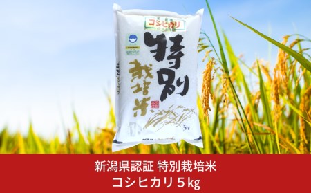 特別栽培米 コシヒカリ5kg 新潟県認証 令和6年産 新潟県三条市産 こしひかり アグリ巧房 【010S275】  特別栽培米コシヒカリ こしひかり 特別栽培米 特別栽培米