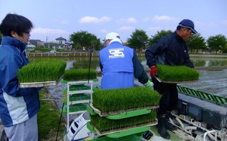 特別栽培米 コシヒカリ5kg 新潟県認証 令和6年産 新潟県三条市産 こしひかり アグリ巧房 【010S275】  特別栽培米コシヒカリ こしひかり 特別栽培米 特別栽培米