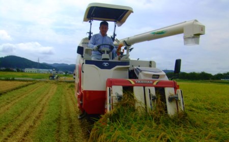 定期便 特別栽培米 コシヒカリ5kg 3ヶ月 令和7年 新潟県認証 三条市 アグリ巧房 コシヒカリ