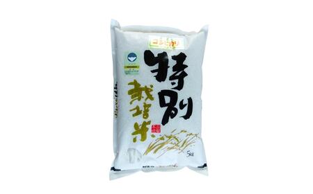 定期便 特別栽培米 コシヒカリ5kg 3ヶ月 令和7年 新潟県認証 三条市 アグリ巧房 コシヒカリ