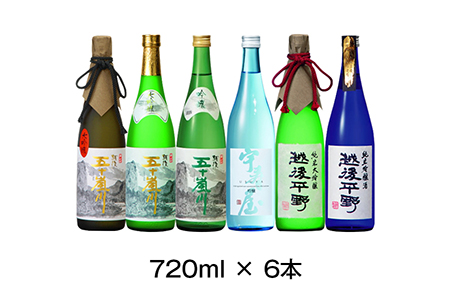 新潟清酒 大吟醸・吟醸6本セット 日本酒 [福顔酒造]【057P001】
