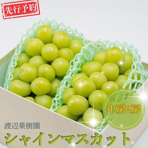 先行予約 中房 シャインマスカット 2房 (約1kg) 令和8年度 贈答用 渡辺果樹園
