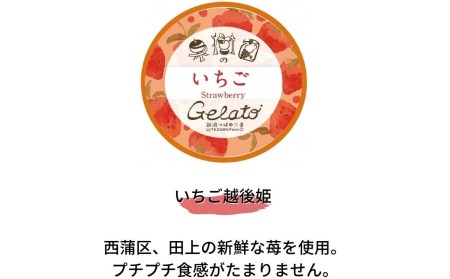 [季節限定] 果樹園のジェラートセレクト [いちご12個セット] ストロベリー ジェラート詰合せ アイス詰合せ ジェラートセット アイスセット 濃厚ジェラート  [田沢農園] 【019S044】