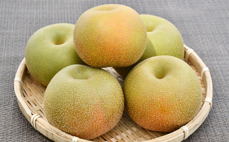 先行予約 幸水 特秀品 約5kg 糖度13度以上 厳選  和梨 新潟県産