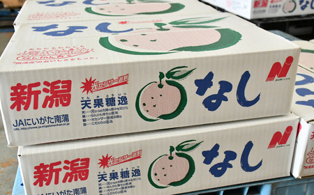 先行予約 幸水 特秀品 約5kg 糖度13度以上 厳選  和梨 新潟県産