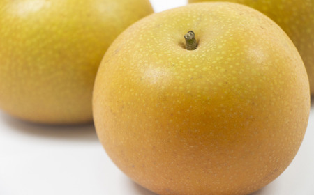 先行予約 和梨 あきづき 特秀品 約5kg 糖度13度以上を厳選 令和8年度 新潟県産 天果糖逸 JAえちご中越