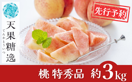 先行予約 桃 特秀品 約3kg 糖度13度以上を厳選 令和8年度 新潟県産 天果糖逸 JAえちご中越