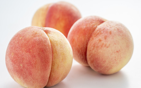 先行予約 桃 特秀品 約3kg 糖度13度以上を厳選 令和8年度 新潟県産 天果糖逸 JAえちご中越