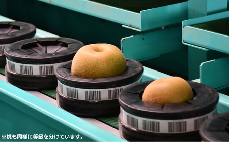 先行予約 桃 特秀品 約3kg 糖度13度以上を厳選 令和8年度 新潟県産 天果糖逸 JAえちご中越