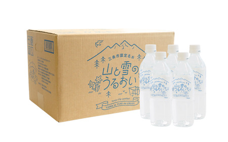 ナチュラルミネラルウォーター 山と雪のうるおい 500ml×48本 軟水 天然水 ミネラルウォーター ナチュラルミネラルウォーター 飲料水 湧水 防災用品 防災グッズ【014S061】