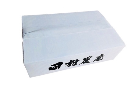 【令和5年産米】新潟産最上級コシヒカリ「米山プリンセス・シスター」無洗米 2.9kg（2kg×1袋、300g×3袋）[ZB601]